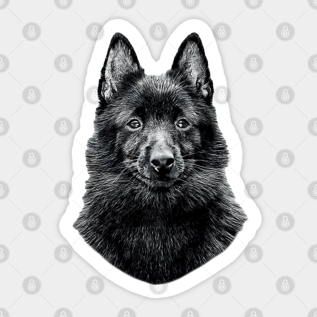 Schipperke Cute Black Dog Sticker by ElegantCat